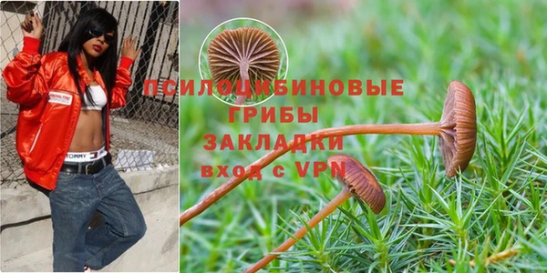 мдпв Баксан