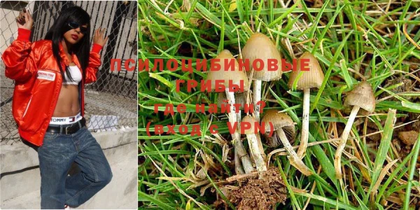 меф Балахна