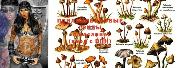 мдпв Баксан