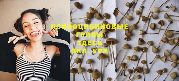 мдпв Баксан