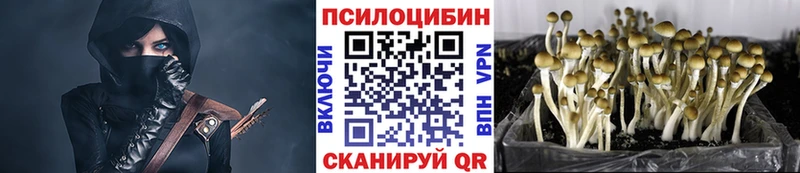 Галлюциногенные грибы прущие грибы  ссылка на мегу ССЫЛКА  Курганинск  цена наркотик 