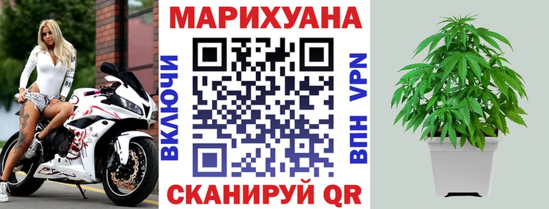 Шишки марихуана индика  где можно купить наркотик  Курганинск 